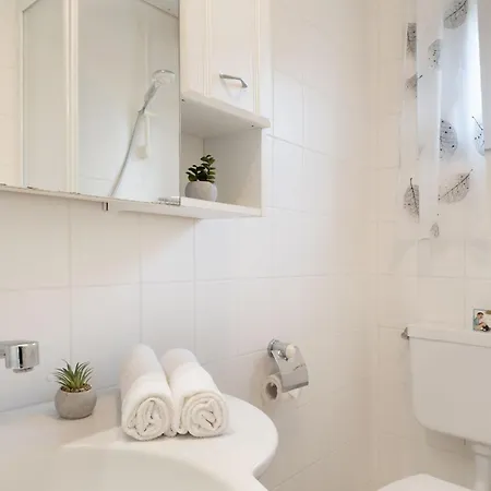 Schneider- Snieder's Hoeg *